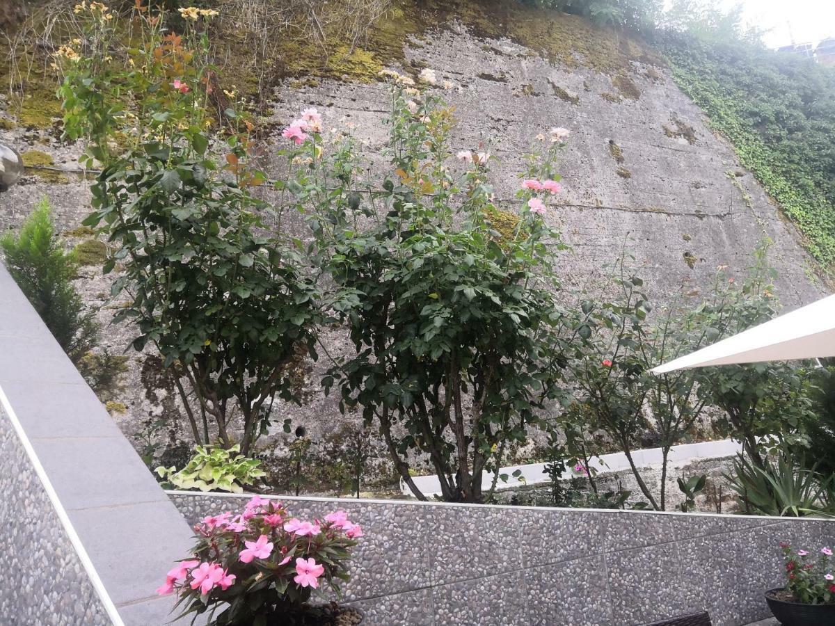 Il Roseto Bed and Breakfast Frosinone Exteriör bild